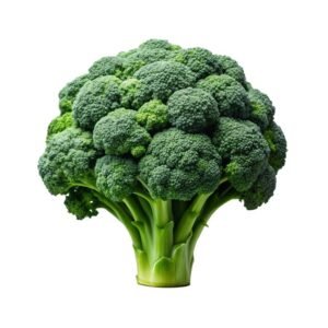 Broccoli (ப்ரோக்கோலி)