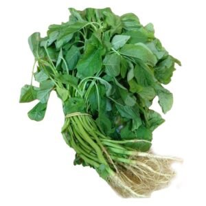 amaranthus-stem-greens-1pcs